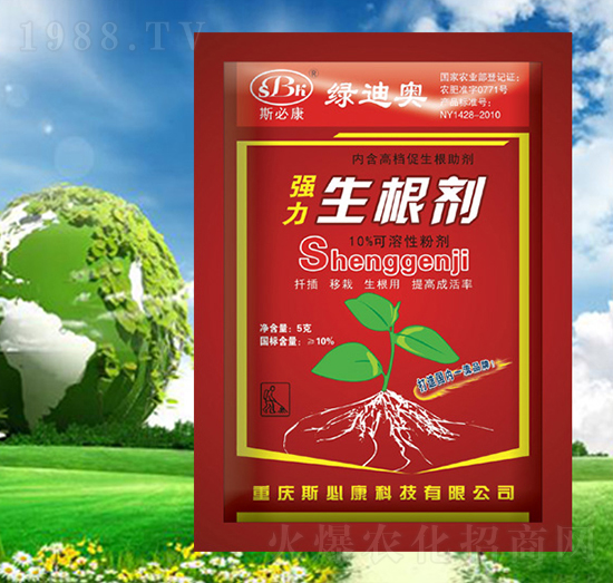 �������������t��-�G�ϊW-˹�ؿ�