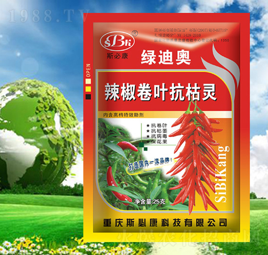 �������~�����`-�G�ϊW-˹�ؿ�