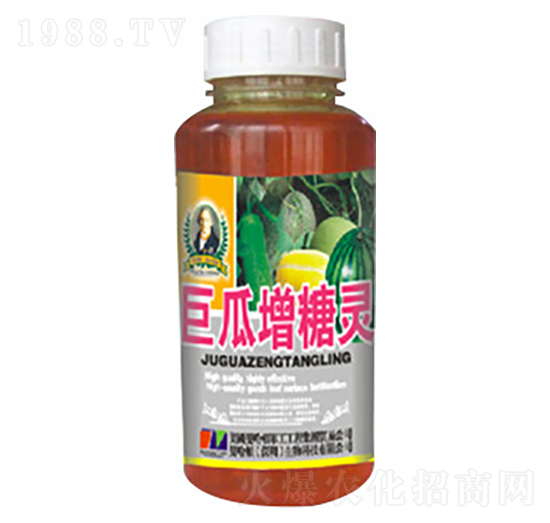 �޹������`-�»�