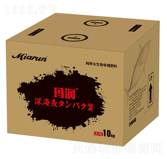 �ձ��M(j��n)���~(y��)����-����(r��n)-����