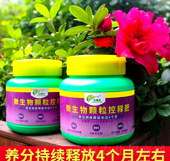 ΢�����w����ጷ�-������