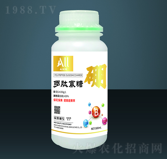 ���Ĺ�����-��(��i)�����B(t��i)