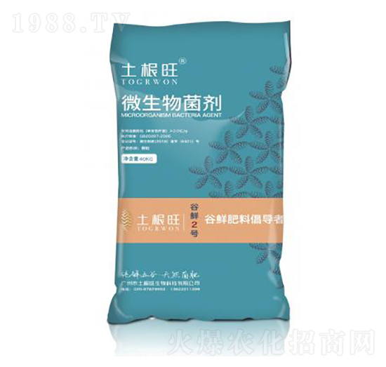 ������΢�������-������