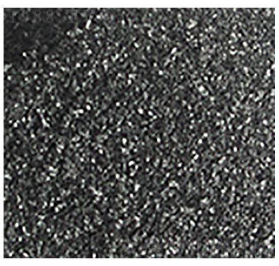 ��ֲ�ḯ�-��W�Ƽ�