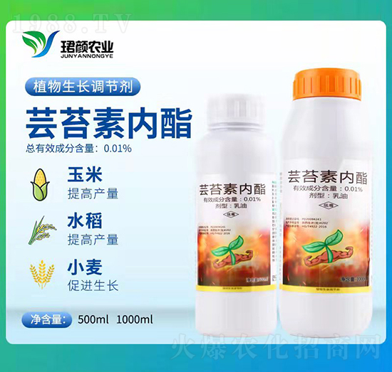 蕓苔素內酯-珺顏農業(yè)