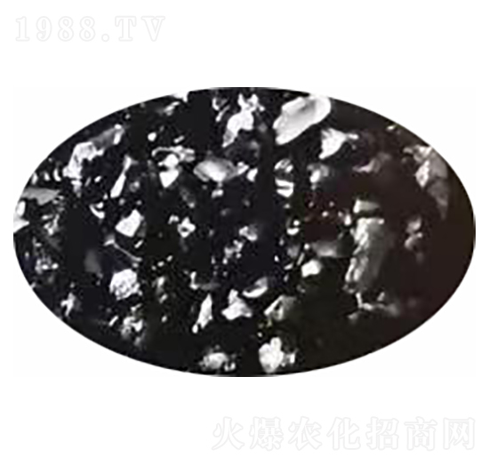 ��ֳ����w��-�¸���