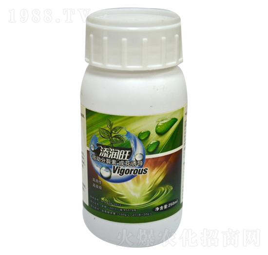 �˄ӷ�����-�꾧��