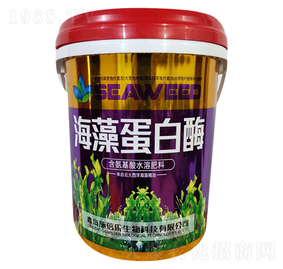 ���嵰��ø-�������