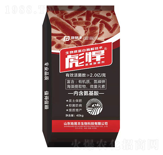 ���������-�뺷-�����S