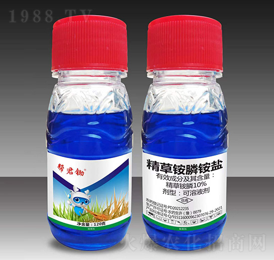 10%�����@��@�}-�;��z��120g��-��Խ����