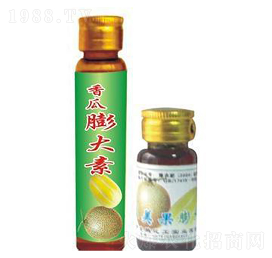 ��������-�h�滯��