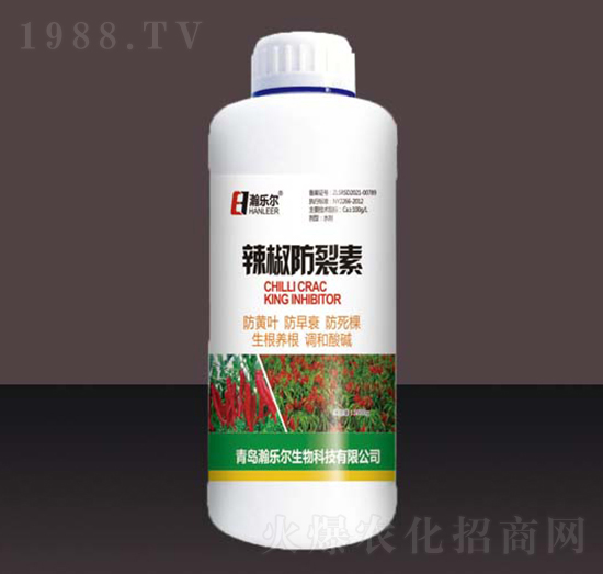 ����������-嫘���