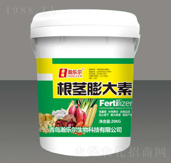 ���o�����-嫘�(l��)��