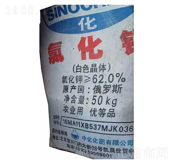 62%���_˹��⛣���ɫ���w��-¡���r(n��ng)�Y