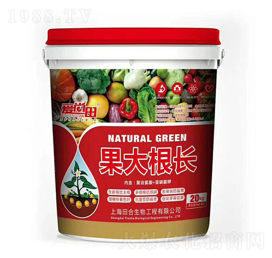 ��(��i)���������L(zh��ng)-�������