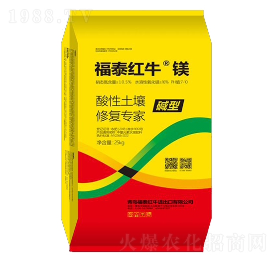 ���������ޏ͌���-��̩�t�����V