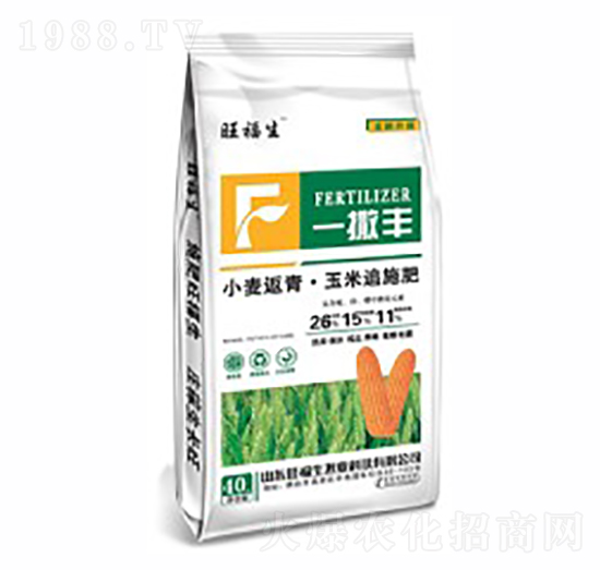 С�����ࡤ����׷ʩ��26-15-11-һ���S-������