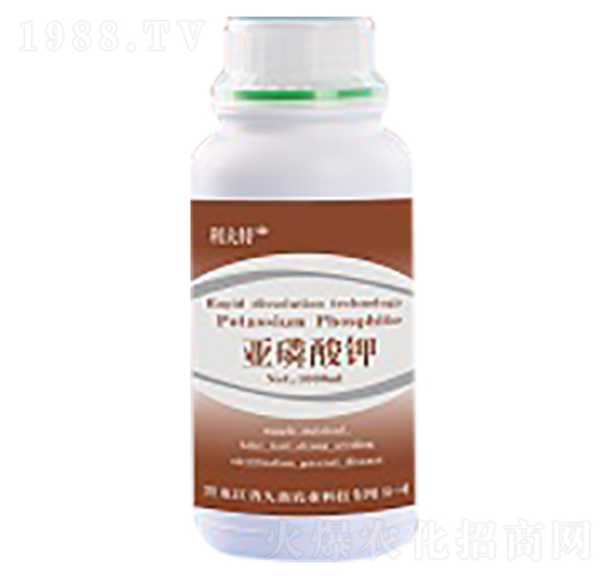 �������-�����r(n��ng)�I(y��)