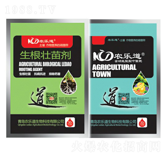 �������焩-�r��������