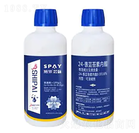 24-���|̦�؃�֬-�|��-ʩ������