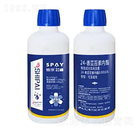 24-���|̦�؃�֬-�|��-ʩ������