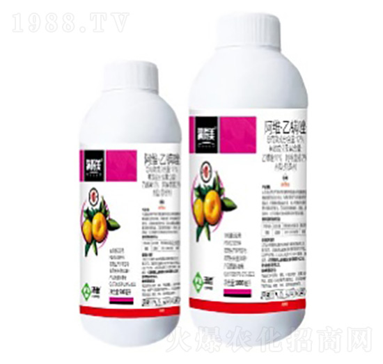 12%���S��������Ҹ���-�M����-���՘�