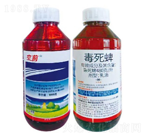 480��/������������-��ǰ-���՘�(l��)