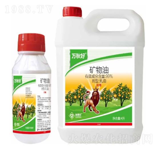 �V��������-�f���-���՘�