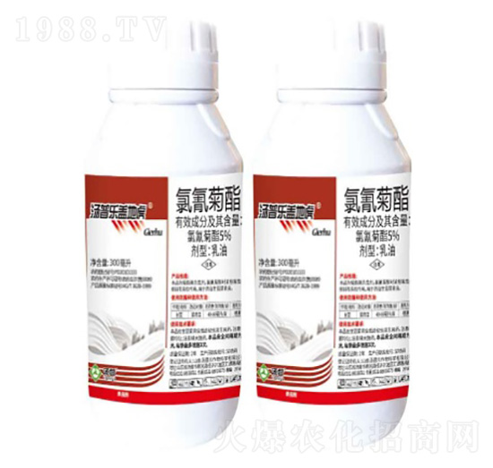 5%�����������-�w�ػ�-���՘�