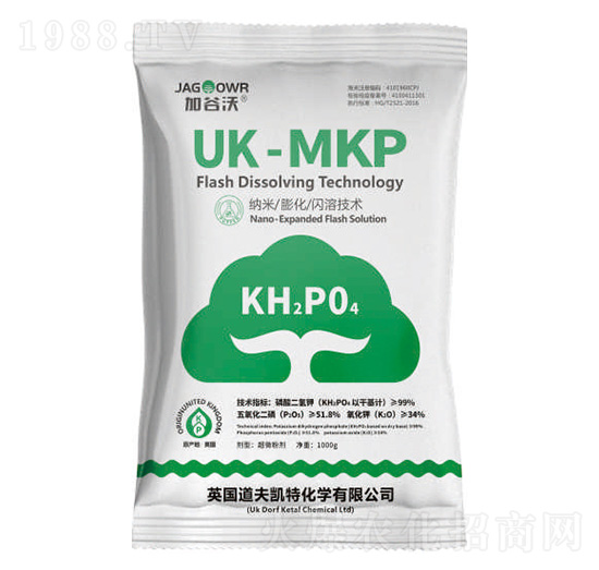 ��������-����P��