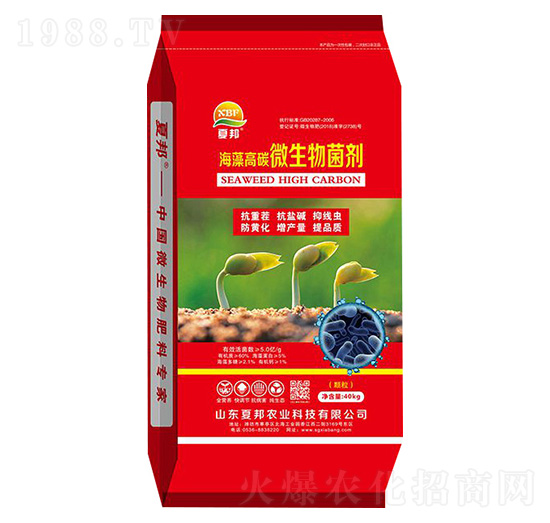 �����̼΢�������-�İ��r(n��ng)�I(y��)