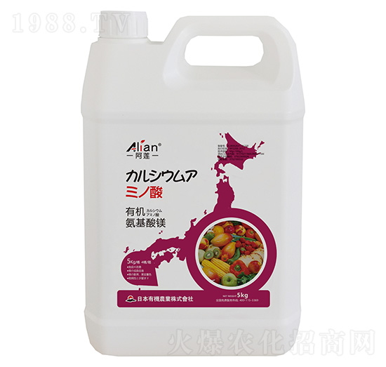 �ЙC(j��)�������V-��ɏ-��(gu��)�r(n��ng)��