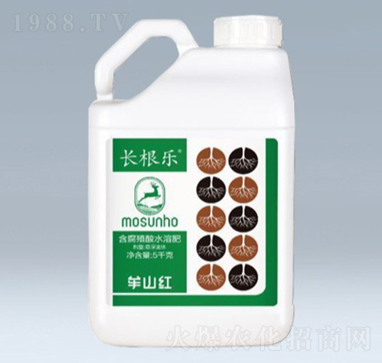 �L��������ֲ��ˮ�ܷ�-��ݮȦ