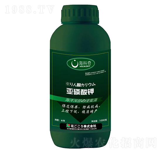 �������-������