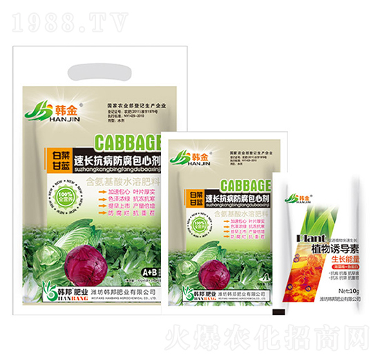 �ײ˸��{(l��n)���L(zh��ng)�����������Ą�-�n��-�n��ʘI(y��)