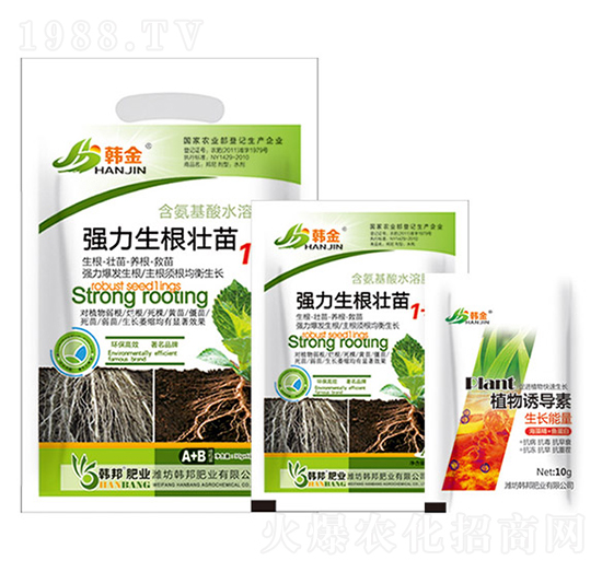 ������������1+1-�n��-�n��ʘI(y��)