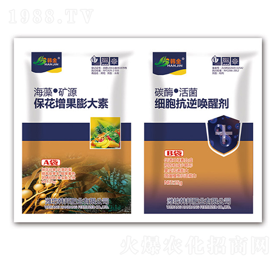 �������������-��(x��)�����憾�ф�-�n��-�n��ʘI(y��)