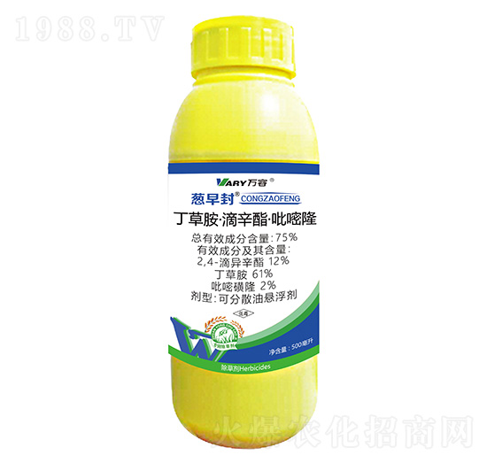 75%���ݰ���������������¡-�[���-�f(w��n)��