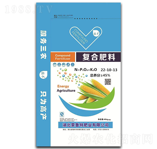 �ͺϷ���22-10-13-�N�S-���׵�