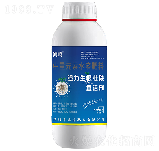 ��(qi��ng)�����������(f��)�τ�-���Q