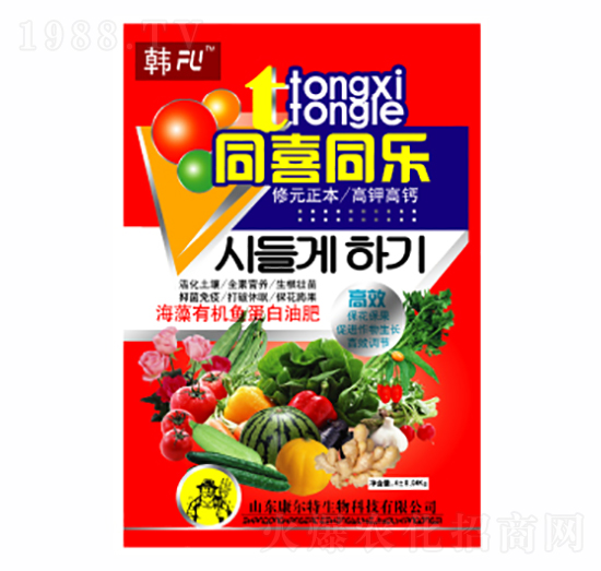 ͬϲͬ��-������