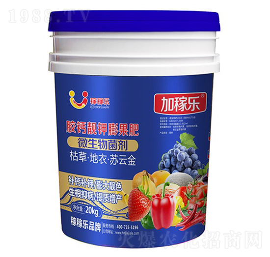 �z�}�n������-�Ӽژ�(l��)-�ڼژ�(l��)