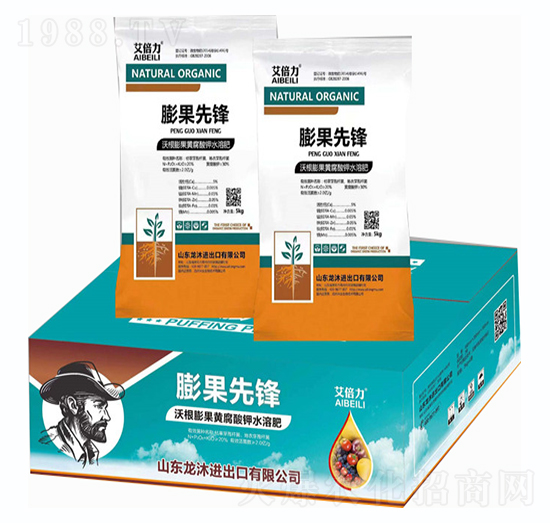 ������h���䣩-������-���̴T��