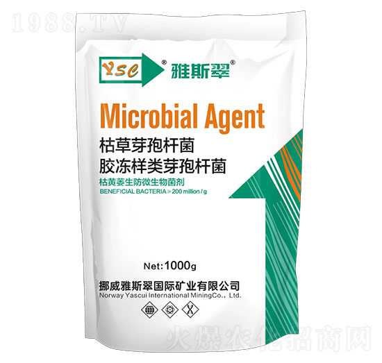 ���Sή����΢�������-��˹��