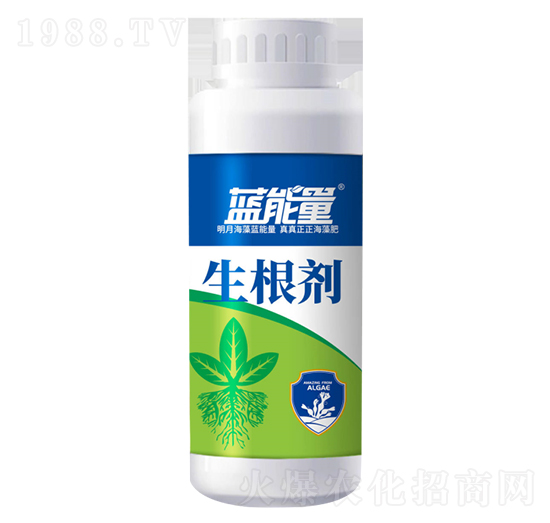 ������-�{����-��Դֲ��