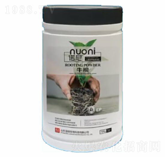 ţ��-�Z��-�~�蝙