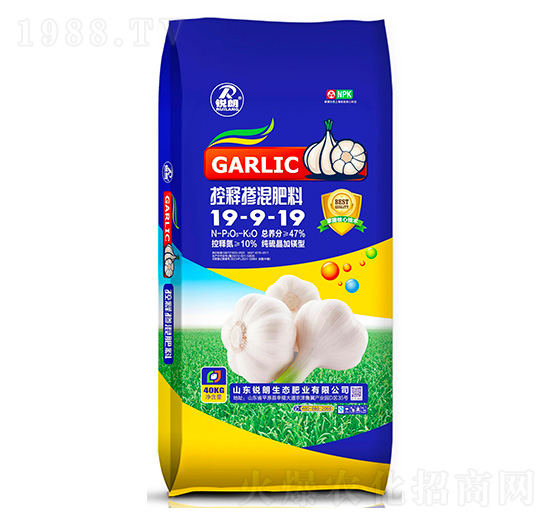 ��ጓ������19-9-19-�J��