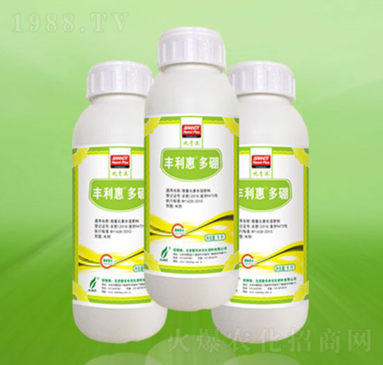 �S���ݶ���-�º��S