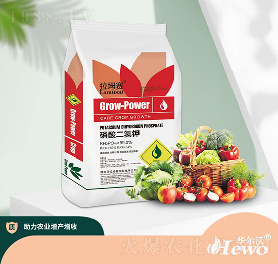 ��������-��ķ��-�A����