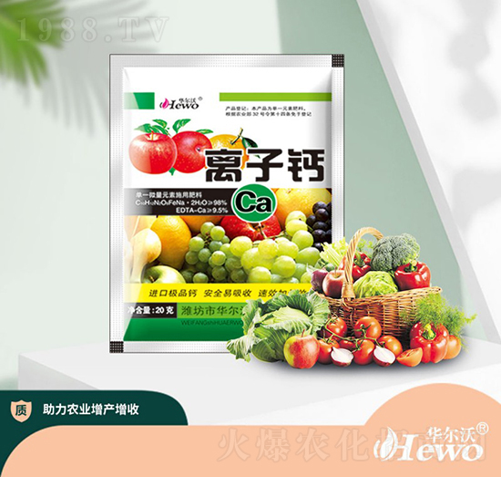 �x���}-�A���֡�